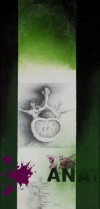 ANATOMÍAS (SERIE)