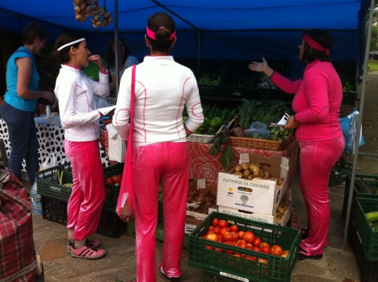 candidas feira